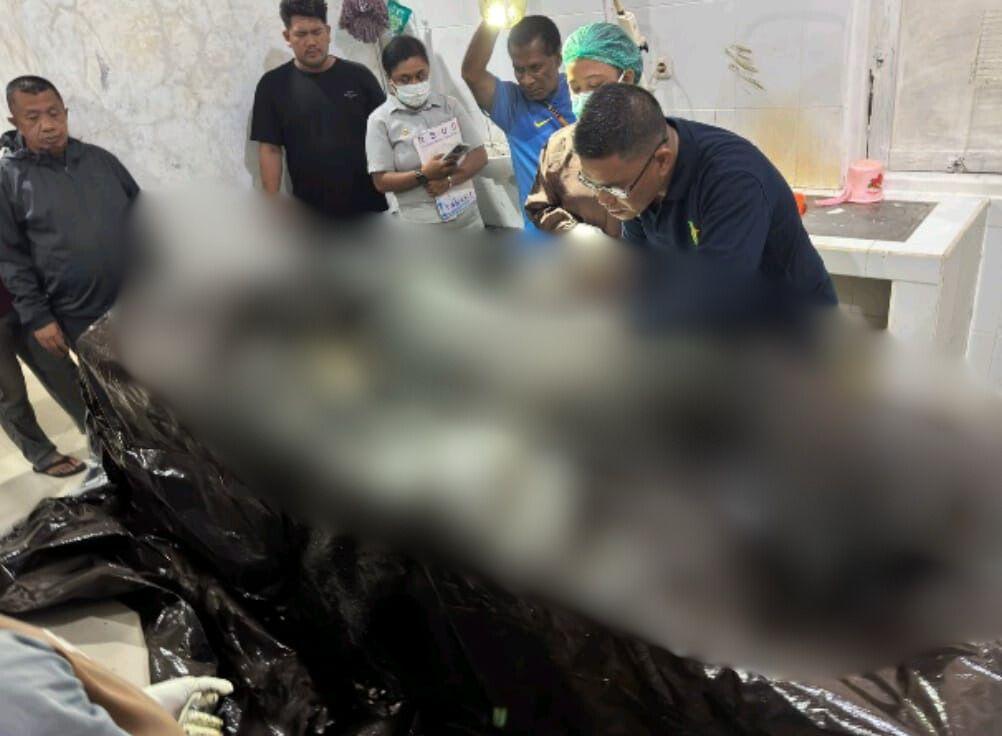 Dua Korban Tewas dalam Penyerangan di Pos Pengamanan PT Kristal Nabire, Satgas Ops Damai Cartenz Lakukan Penyelidikan Mendalam